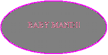 Oval:     BABY MANDI!
